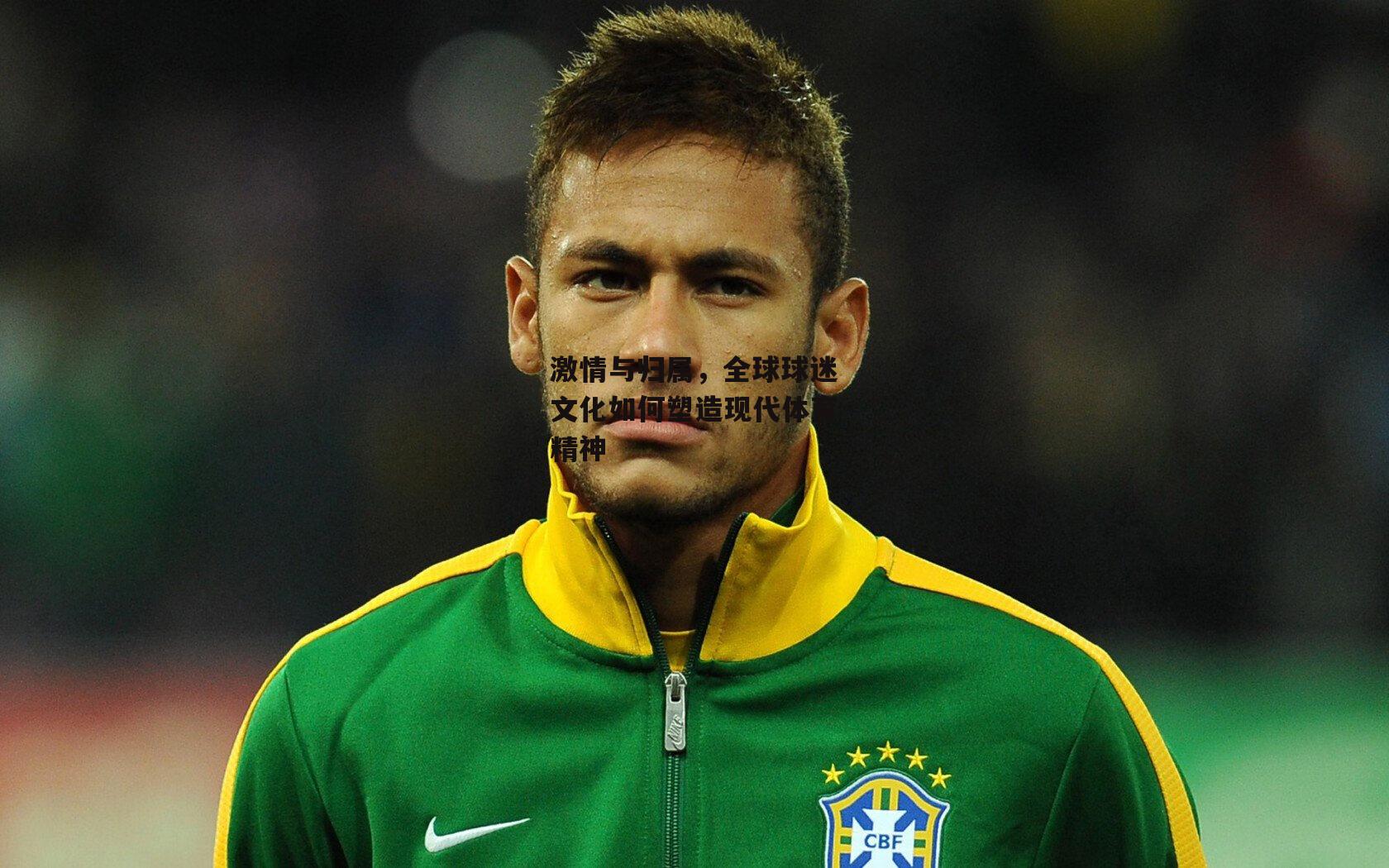 激情与归属，全球球迷文化如何塑造现代体育精神